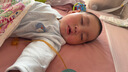小皮（Little Freddie）有机高铁米粉蓝莓谷物米粉160g婴幼儿米粉6-12个月米糊婴儿辅食 实拍图