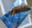 宫壹大连即食海参1斤15-25只 京东自营 固形物≥75%底播辽刺参免泡发 实拍图
