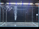 宝贝故事（BABY STORY）鱼缸氧气泵 水族箱增氧泵小型鱼缸充氧泵养鱼氧气设备 1.5W 单孔 带气管气石 实拍图