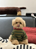 bledilait婴幼儿围嘴纯棉花瓣口水巾宝宝围脖饭兜四层新生儿童吸水围巾3条 实拍图