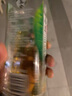 可口可乐（Coca-Cola）淳茶舍 玉露绿茶 冷萃 无糖茶饮料 480ml*12瓶整箱装 实拍图