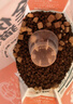 卫仕 五拼冻干全价全阶段猫粮 猫干粮 成猫幼猫高蛋白粮 山海盛宴 6kg 实拍图