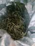 恬和茶叶绿茶雀舌新茶特级明前嫩芽湄潭翠芽罐装250g中秋礼盒礼品 实拍图