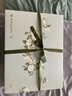 babycare育儿妈咪包多功能母婴外出轻便包双肩背包妈妈包 星灰绿云朵大号 实拍图