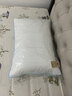 富安娜蚕丝枕头芯纯棉面料 60s全棉枕芯6岁以上儿童丝棉枕60*40cm 实拍图