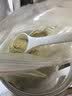 健典霍山铁皮石斛粉 正宗铁皮石斛枫斗超细粉磨粉纯粉特级 霍山铁皮石斛粉300g克（100克/罐共3罐） 实拍图