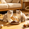 素力高（SolidGold）猫粮低脂高蛋白全价鲜鸡肉高效燃脂猫粮1.5kg 实拍图