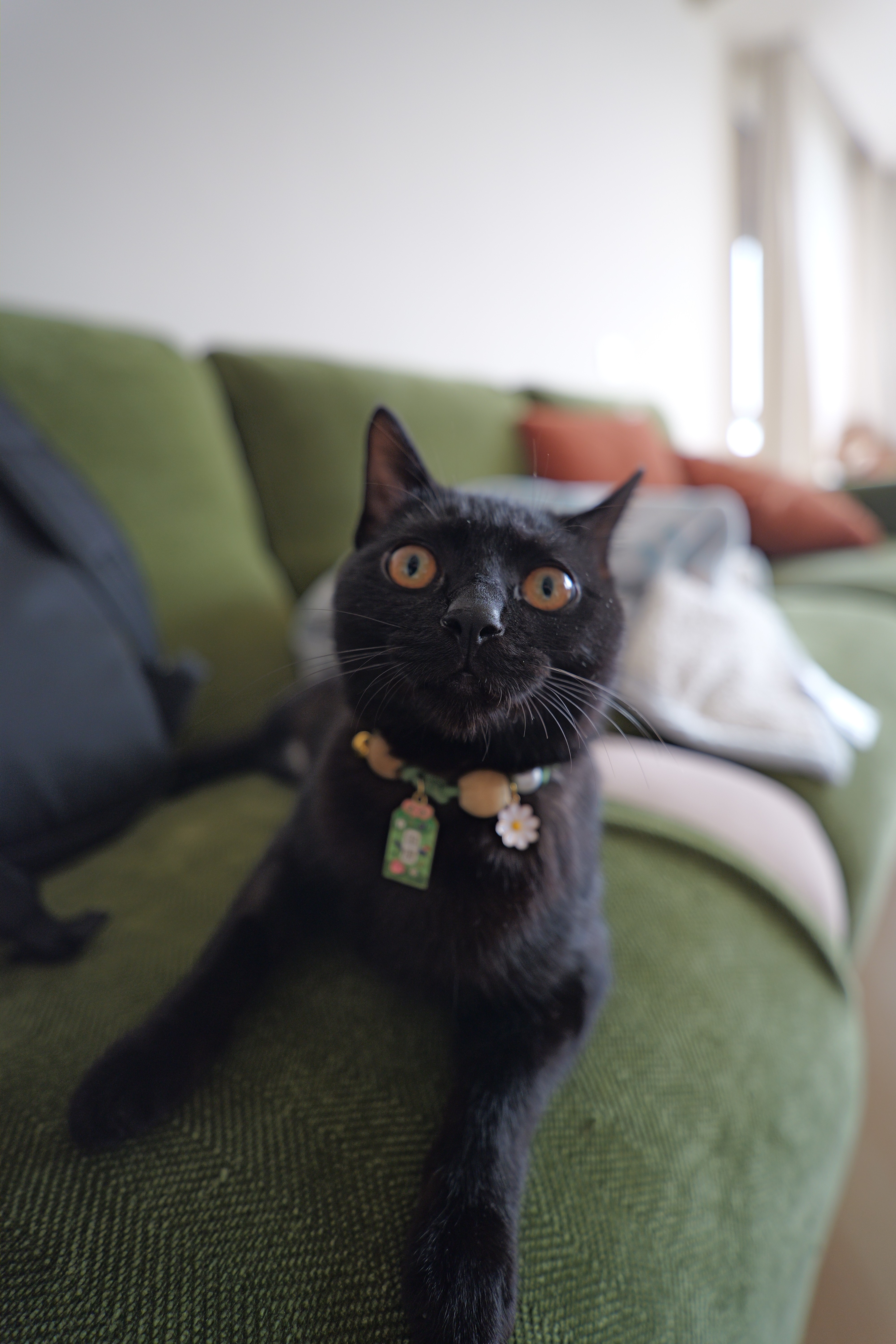 唯卓仕16mm F1.8全画幅超广角定焦自动对焦镜头适用于FE卡口Z卡口L卡口微单相机星空风光摄影镜头 AF 16mm F1.8 L（松下/徕卡/适马） 官方标配 实拍图