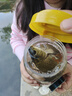 龙王恨鱼饵野战蓝鲫香腥钓饵江河湖库黑坑野钓鲫鱼鲤鱼草青鳊鱼钓鱼饵料 实拍图
