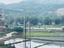 网易严选浴室香氛香薰空气清新剂车载香薰卫生间厕所除臭剂除异味300ml*4 实拍图