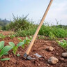 绿族锄头挖土开荒农用长柄老式挖地种菜除草工具钢头加厚户外园艺镐头 实拍图
