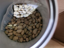 同仁堂品牌北京同仁堂白扁豆500g五谷杂粮粗粮煮粥养生粥食材礼品 实拍图
