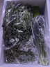 千牛优福芝麻菜250g-500g 新鲜蔬菜沙拉食材 生菜 西餐 火箭菜 新鲜芝麻菜500g 晒单实拍图