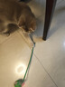 憨憨乐园猫玩具猫咪玩具智能自动逗猫球遛猫遛狗逗狗突突球躲避自嗨神器CS 实拍图