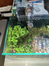 公牛（BULL）定时器插座/电子定时通断电 20组定时器插座/转换器  7天24小时循环 GND-1 实拍图