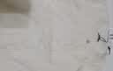 百图betu女装春夏新款衬衫圆领不规则纽扣七分袖衬衫女2403T39 米白 L 实拍图