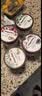 哈根达斯（Haagen-Dazs）【限定新品】巧克力风味布朗尼冰淇淋420ml/桶家庭装 实拍图