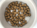 利民（thermalright）TF8(1.2g)(导热硅脂/CPU散热膏/1.2g装/导热系数13.8/笔记本导热膏/附带利民刮刀) 实拍图