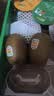 佳沛（zespri）新西兰 阳光金奇异果12粒特大果单果124-146g 猕猴桃水果礼盒 实拍图