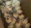 港荣蒸蛋糕椰香800g面包零食早餐纯蛋糕中西式糕点心甜品礼品盒物箱 实拍图