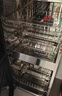 美的（Midea）消毒柜家用 餐具碗柜碗筷茶杯消烘一体机 小型立式  77L三层 高温二星级【政府补贴】 80R05 实拍图
