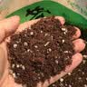 一靓4分内外丝延长管不锈钢上水软管加长角阀冷热水龙头编织管进水管 20CM【4分内外丝对接延长管】 实拍图
