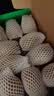 佳沛（zespri）新西兰阳光金果10个装单果重约103-114g 水果礼盒 猕猴桃水果礼盒 实拍图