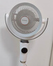 艾美特（AIRMATE）【小暴风PRO】空气循环扇家用大风力摇头电风扇卧室安静轻音小风扇桌面台式节能落地扇电扇 X231 实拍图