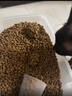 力狼猫粮 幼猫成猫通用天然猫食 宠物店猫咪主粮 牛肉味10kg20斤 实拍图