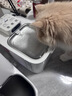 小佩宠物智能自动喂食器猫咪饮水机 猫粮狗粮远程控制自动定时定量 可视双子星喂食器 2+饮水机MAX 2 实拍图