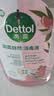 滴露（Dettol）经典消毒液1.2L*1 +香氛衣物消毒液1L*1【特惠套装】母婴衣物友好 实拍图