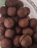 三只松鼠京觅联名夏威夷果1000g24-26mm儿童每日坚果炒货休闲零食团购送礼 实拍图