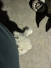宠莱克狗狗专用驱虫药 体内外一体宠物外驱幼犬用狗体外驱虫3支+4片内驱 实拍图