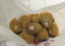 佳沛（zespri）新西兰阳光金果10个装单果重约103-114g 水果礼盒 猕猴桃水果礼盒 实拍图