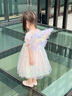G.duck童装女童连衣裙夏装新款公主裙儿童礼服裙子夏季61儿童节礼物女孩 翅膀彩虹蛋糕裙 110码建议100-110cm年龄4-5岁 实拍图