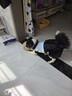 LEGENDSANDY蓝氏狗粮真鲜乳鸽中小型犬生骨肉冻干鲜肉犬粮250g 实拍图