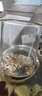 家用烧水壶泡茶大功率电陶炉白茶煮茶耐热套组茶壶茶具高功率 黑色炉+壶 实拍图