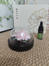 Para Ella永生花陶瓷牡丹生日礼物伴手礼母亲节妈妈结婚纪念护士退休情人节 实拍图