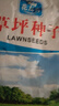 花友秀草坪种子 矮生四季青混合草子 耐寒耐践踏庭院工厂绿化工程草籽】 实拍图
