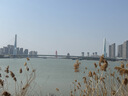 三生花百雀羚精油香氛润发精华素护发素500ml防干枯顺滑密集修护女士 实拍图