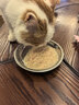 顽皮（Wanpy）三文鱼猫罐头80g*24罐（汤汁型）出口级 猫咪零食果饭儿补水 实拍图