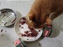 力狼（LILANG）宠物猫粮幼猫成猫零食猫湿粮猫咪猫罐头 囤货 金枪鱼+鸡肉口味 170g*48罐 实拍图