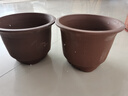 宜兴特大种树紫砂花盆绿萝盆景多肉种菜兰花盆圆口透气超大陶瓷盆 187大号 实拍图