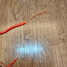 绿林（GREENER）电缆剪剥线钳电工专用家用多功能光纤拔线剪线钳电缆剪刀压线钳 实拍图