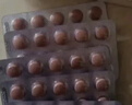 圣傲百令片0.45克*60片 补肺肾 益精气 非百令胶囊 用于肺肾两虚 咳嗽 气喘 腰背酸痛 实拍图