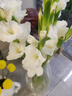 森森（SUNSUN）格池（GRECH）潜水泵抽水泵CQJ-500G款 2.5W 实拍图