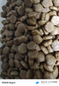 伯纳天纯中大型犬全价成年犬粮金毛宠物主粮羊肉蔓越莓15kg/30斤 实拍图