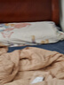 洁丽雅（Grace）枕套A类100%全棉 7A抗菌面料 吸汗枕头套 清雅 一对装 48*74cm 实拍图
