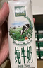 伊利金典纯牛奶 250ml*12盒 3.6g乳蛋白原生高钙 礼盒装 实拍图