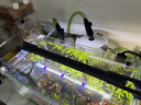森森 鱼缸过滤桶缸外过滤器外置净水循环过滤系统HW-603B 6W 实拍图